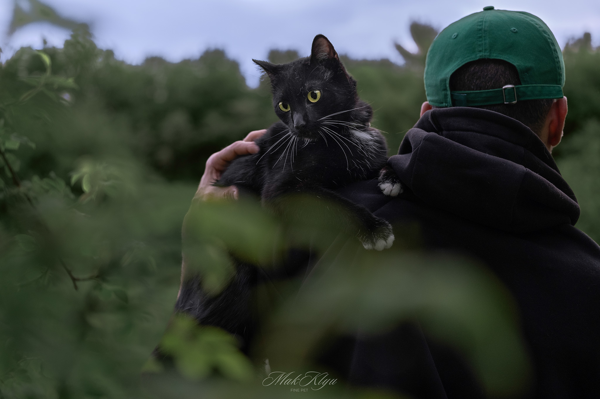 Artistic outdoor pet portrait in Krakow