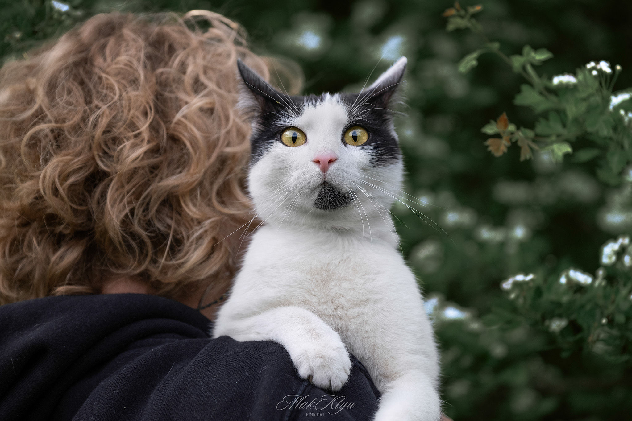 outdoor pet photography session in Krakow
