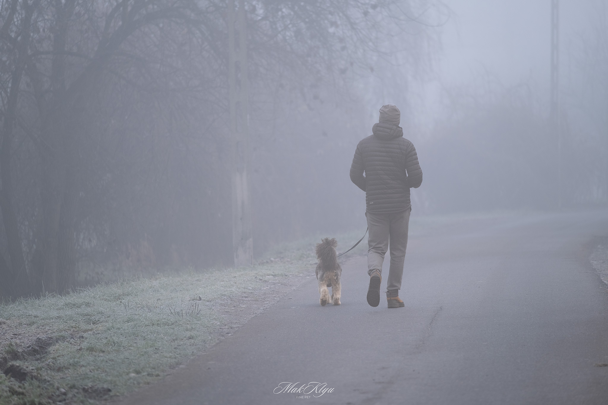 Man walking with a dog along a foggy forest road in a quiet cinematic scene.