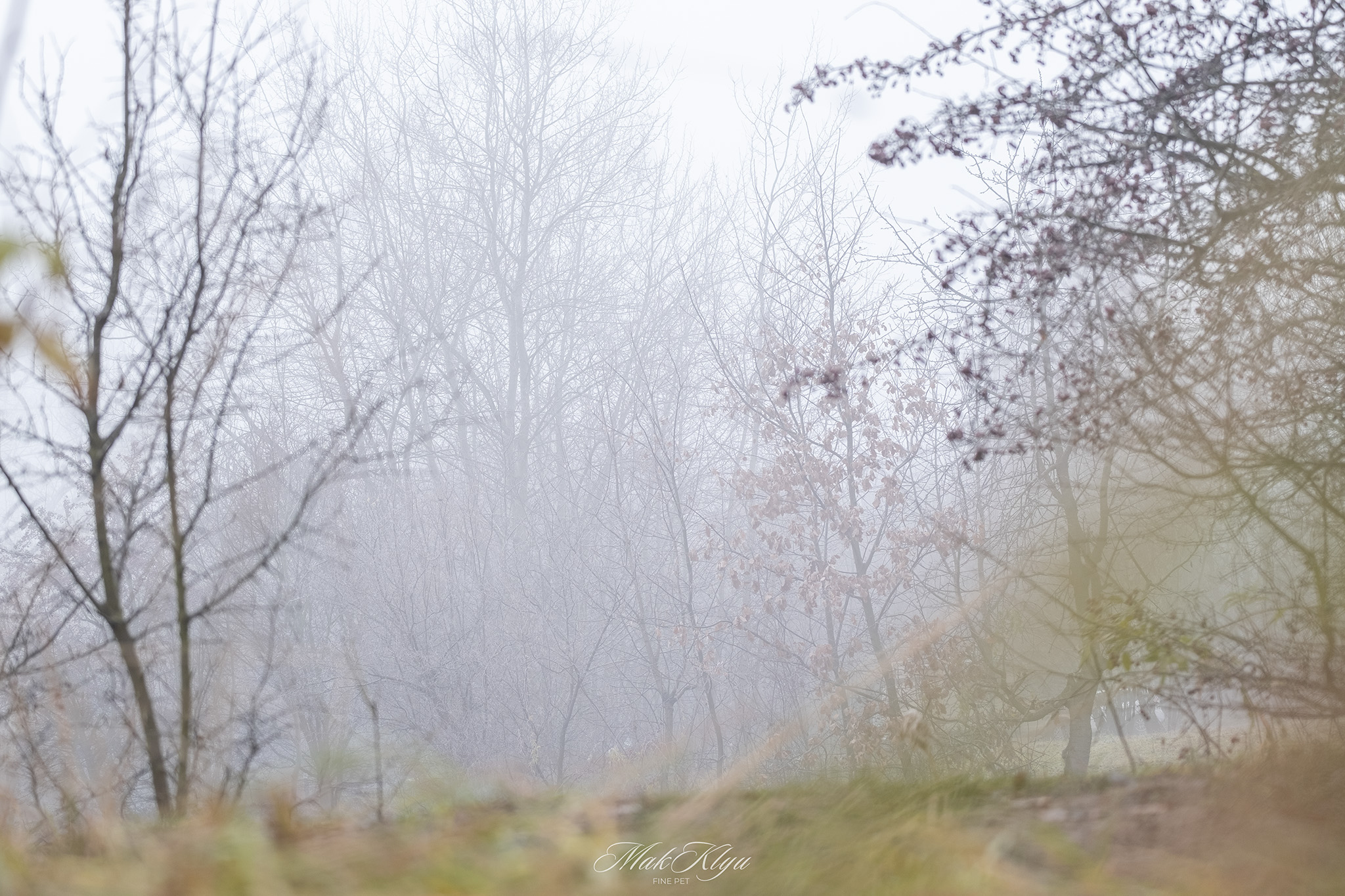 outdoor photography