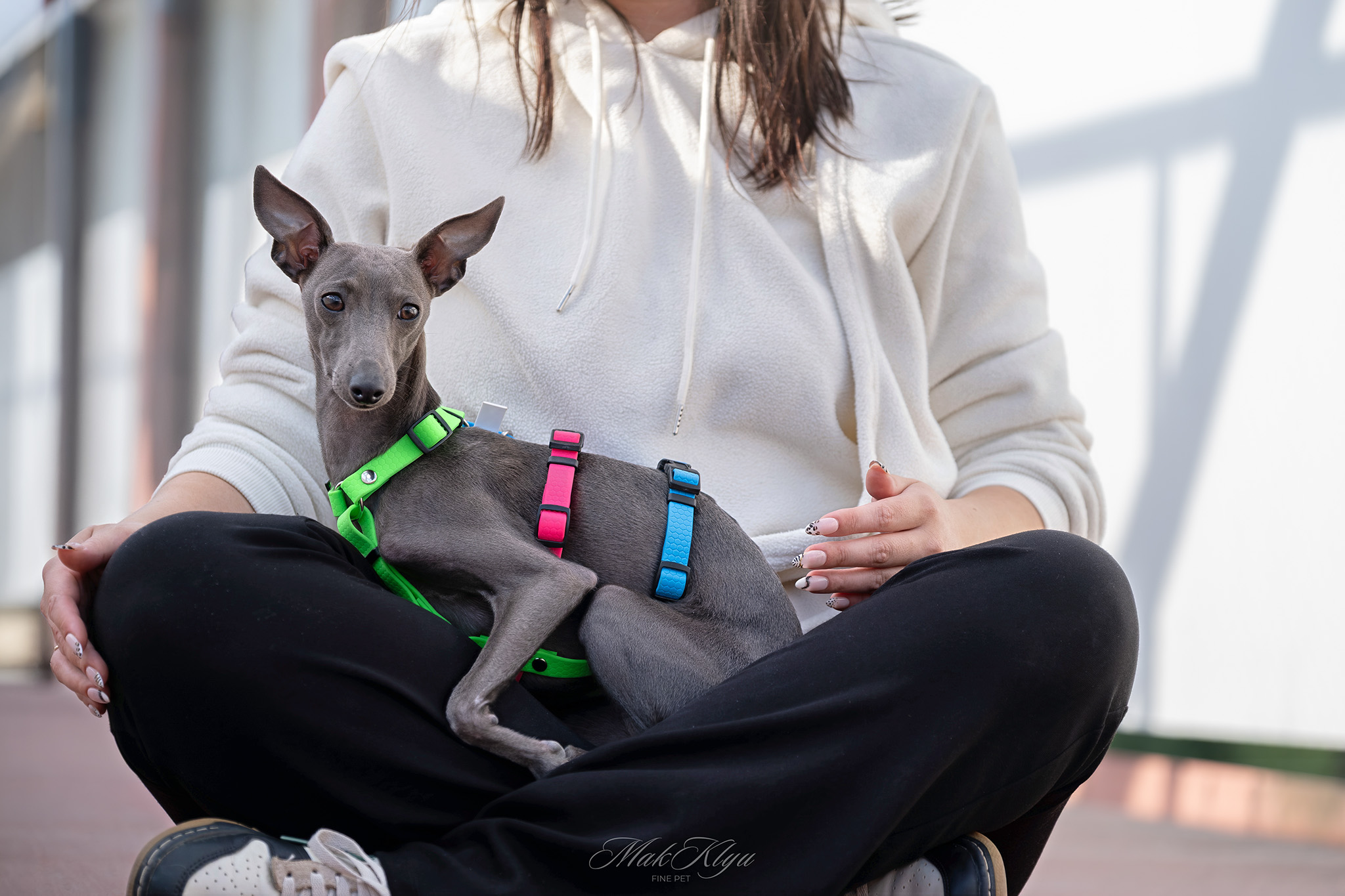 outdoor pet photography