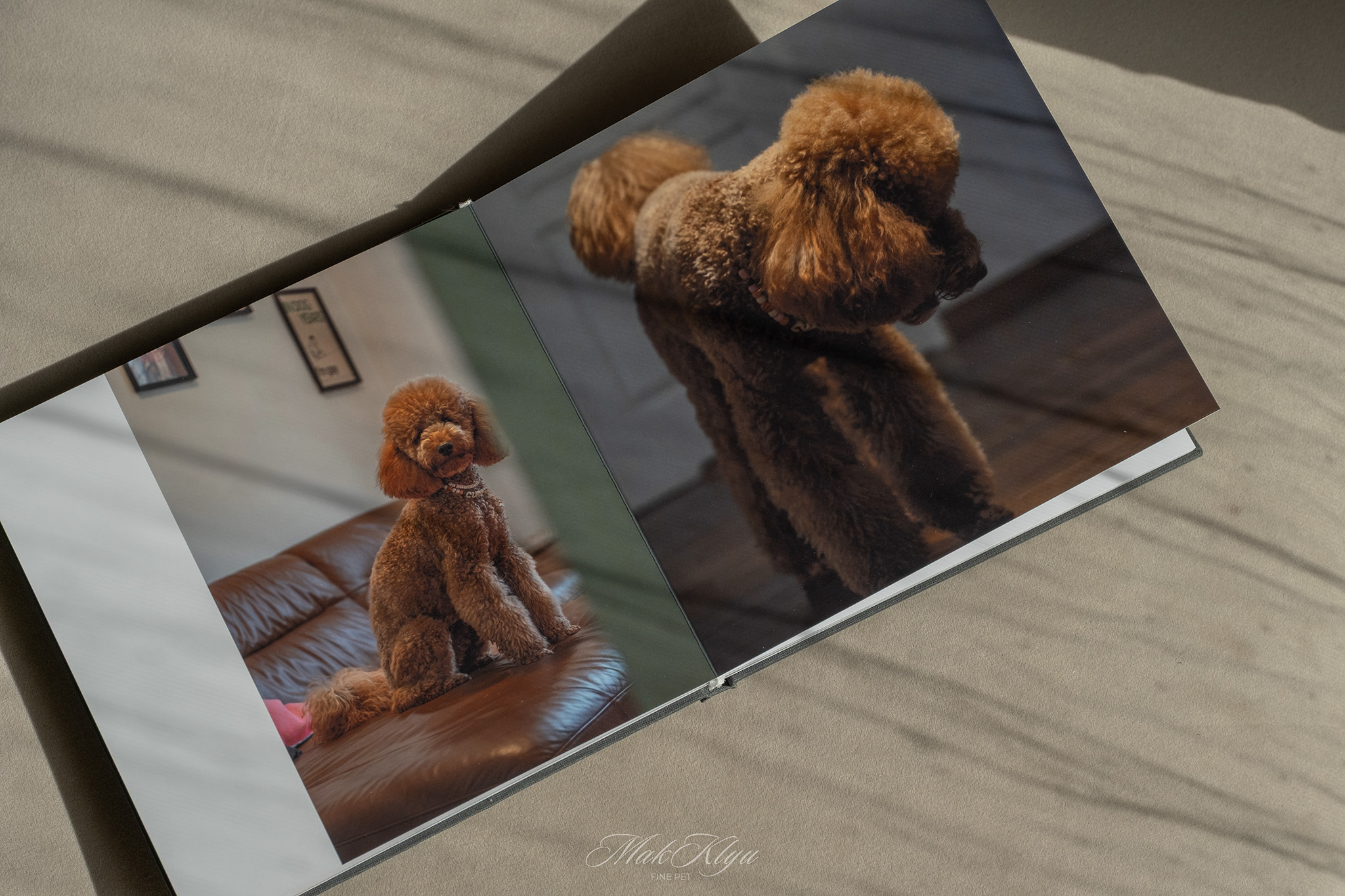 Artistic outdoor pet portrait